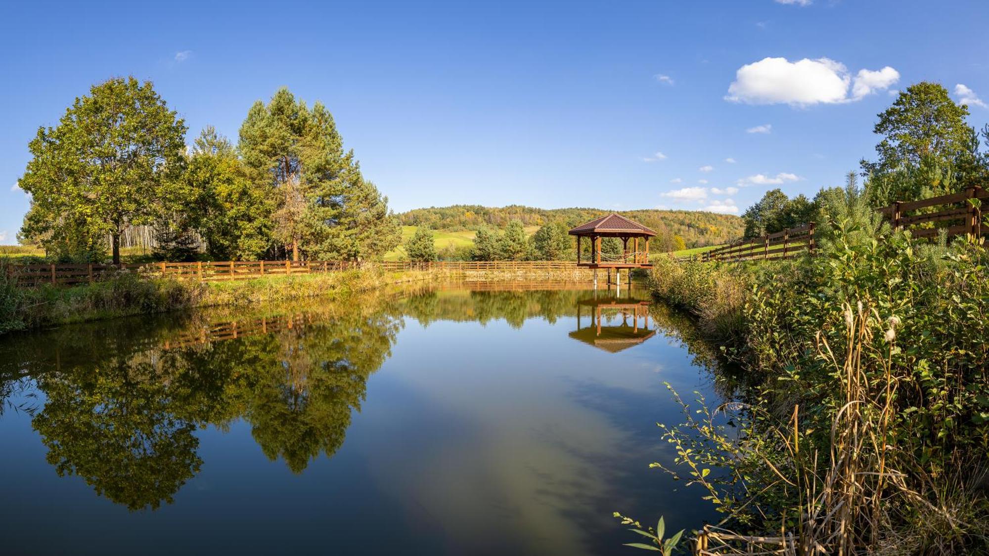 Glamping Pod Gwiazdami Pietrusza Wola Hotel ภายนอก รูปภาพ