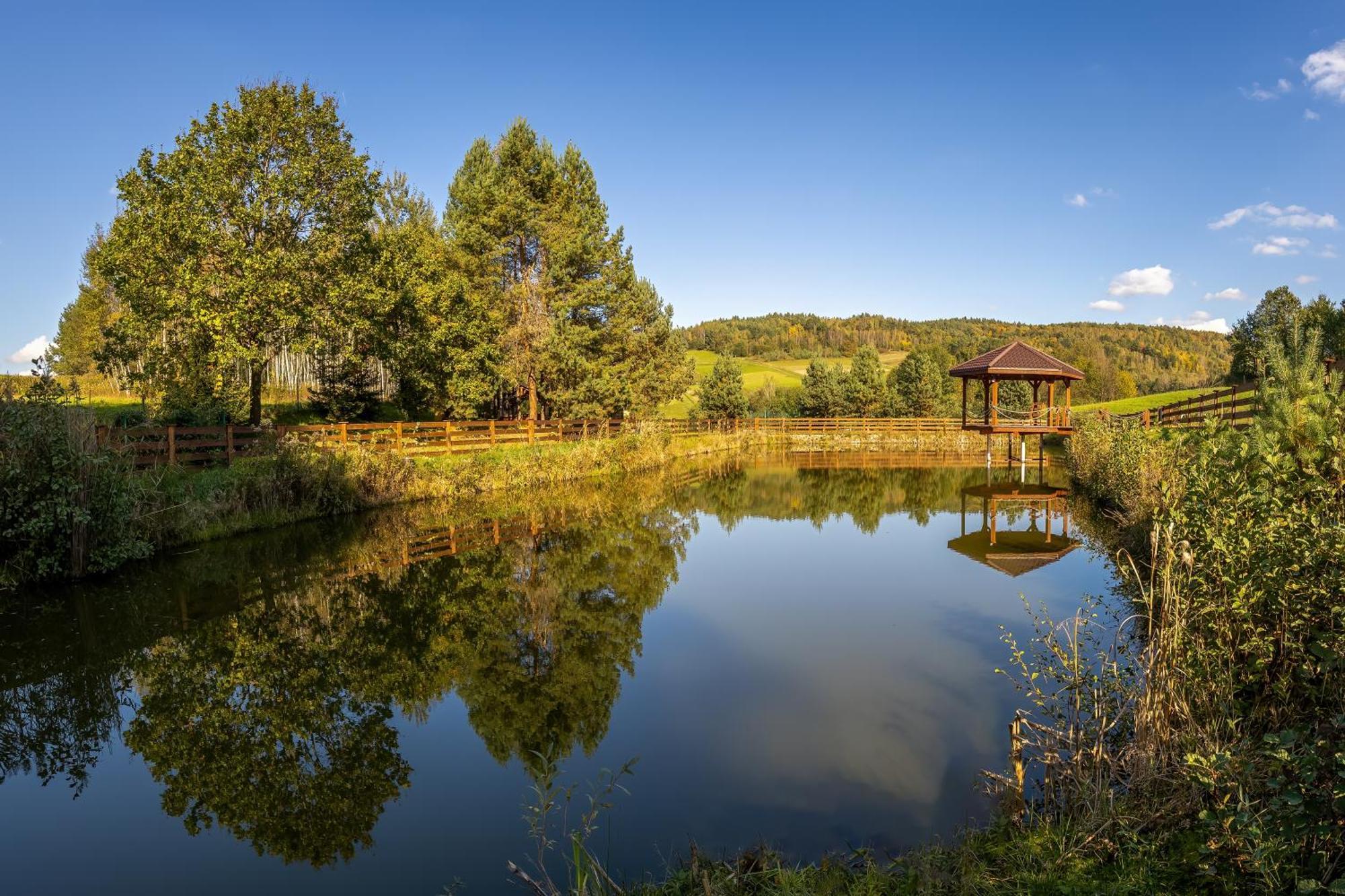 Glamping Pod Gwiazdami Pietrusza Wola Hotel ภายนอก รูปภาพ
