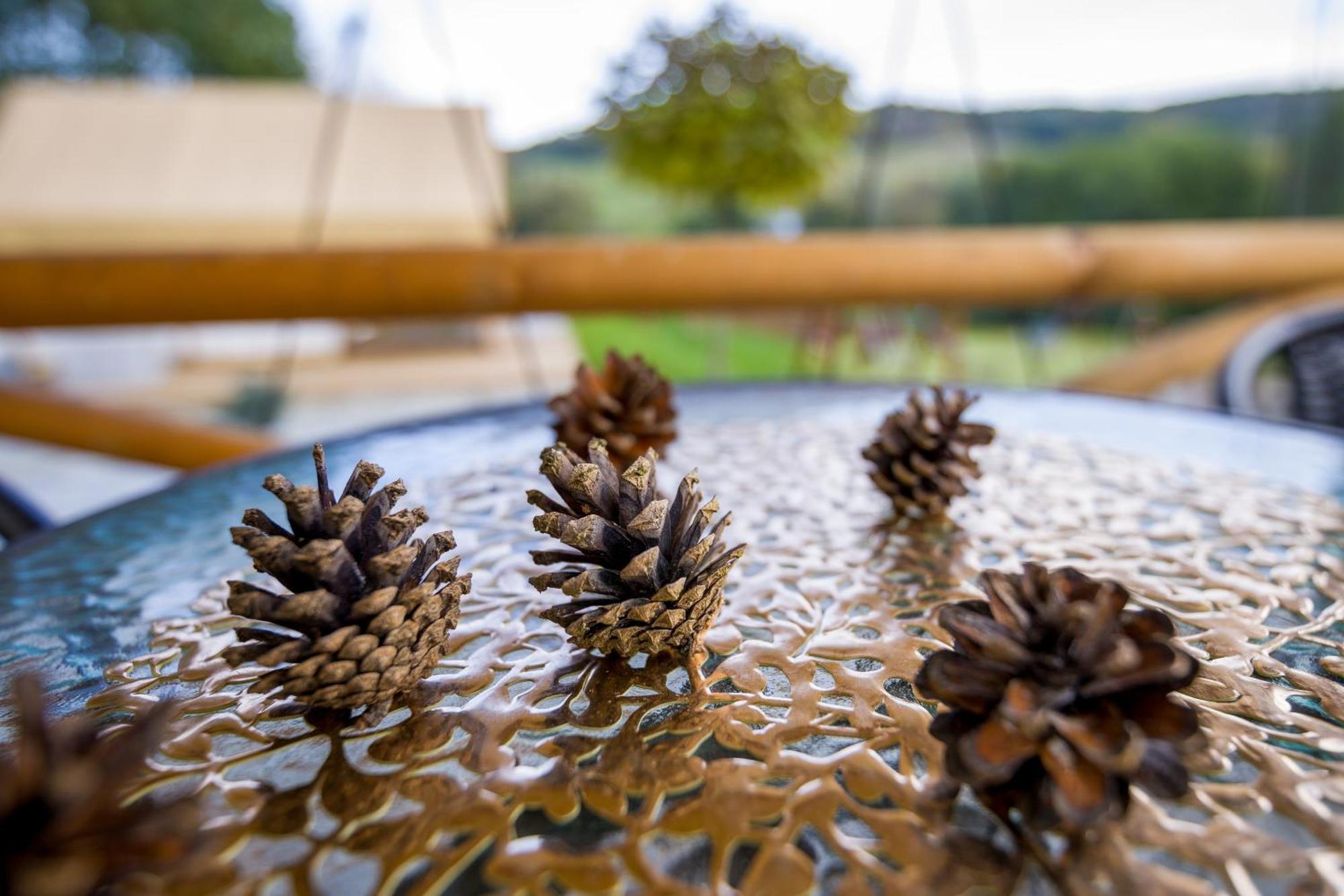 Glamping Pod Gwiazdami Pietrusza Wola Hotel ภายนอก รูปภาพ